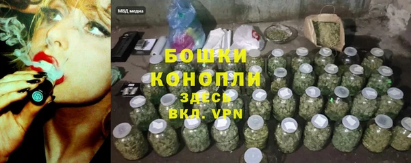амф Инсар