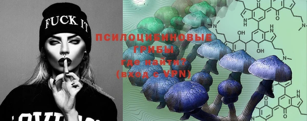 меф Инта