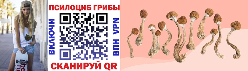 Галлюциногенные грибы GOLDEN TEACHER  Суровикино 